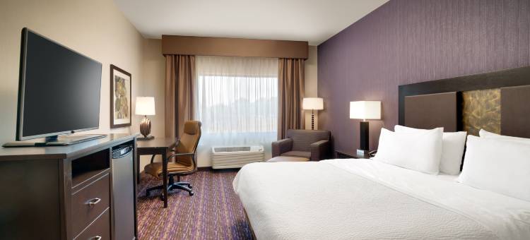 智选假日套房酒店比灵斯(Holiday Inn Express & Suites BILLINGS WEST by IHG)图片