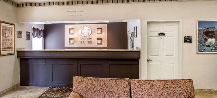 皮奥里亚体育馆舒适套房酒店(Comfort Suites Peoria Sports Complex)图片