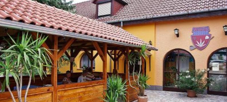 Kispipa Panzio图片