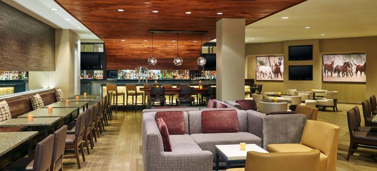 圣安东尼奥机场希尔顿逸林酒店(DoubleTree by Hilton San Antonio Airport)图片