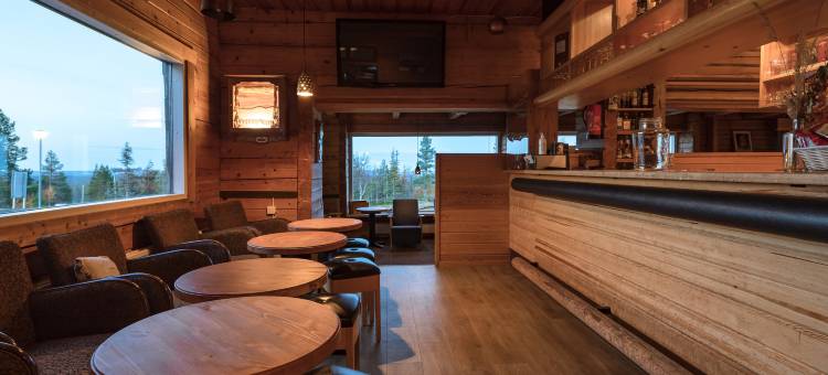 帕拉斯拉普兰酒店(Lapland Hotels Pallas)图片