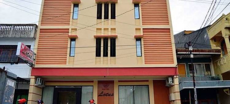 莲花酒店(Hotel Lotus)图片