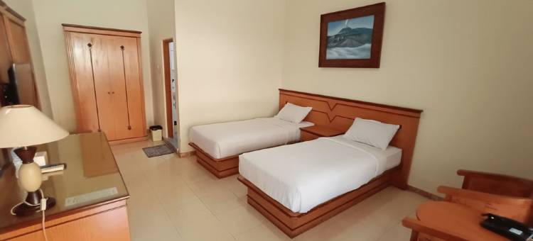 布罗默美景酒店(Bromo View Hotel)图片