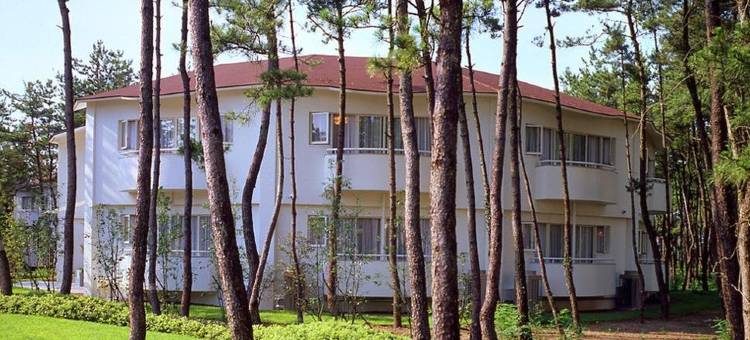 喜凯亚森林小屋(旧：日向别墅)(Seagaia Forest Cottage(Old:Cottage HIMUKA))图片