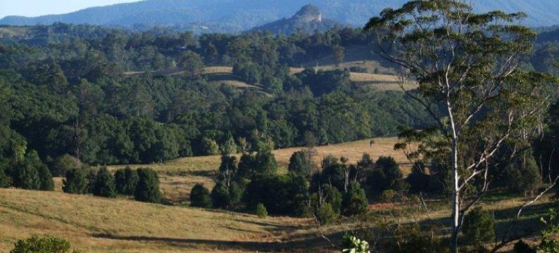 格雷古姆旅馆(Grey Gum Lodge)图片