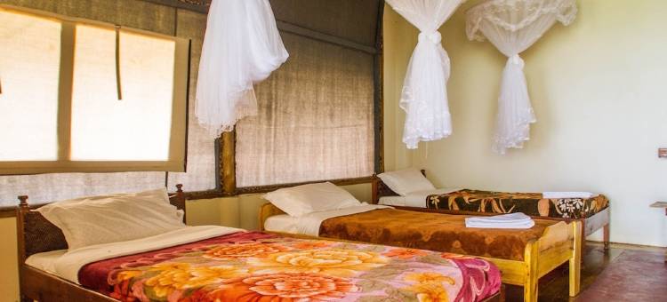狒狒游猎度假村(The Baboon Safari Resort)图片