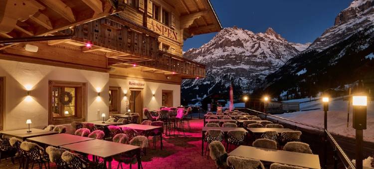 阿斯彭阿尔卑斯休闲酒店(Aspen Alpin Lifestyle Hotel)图片