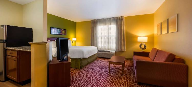 底特律诺维索尼斯塔简单套房酒店(Sonesta Simply Suites Detroit Novi)图片