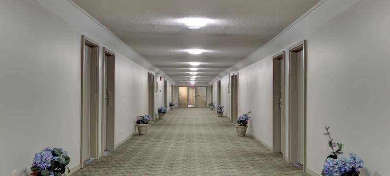 坎卢普斯骑士酒店(Knights Inn Kamloops)图片