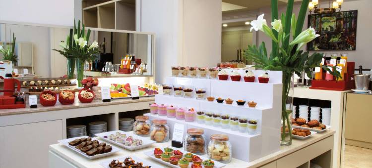 NH 布宜诺斯艾利斯兰开斯特精选酒店(NH Collection Buenos Aires Lancaster)图片