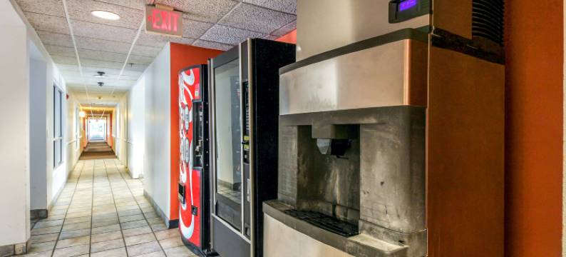 纽布朗费尔斯6号汽车旅馆(Motel 6 New Braunfels, TX)图片