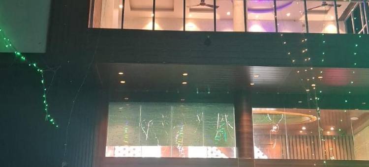 Green Mapple图片