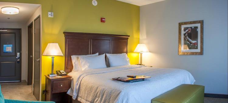 米沙沃卡欢朋套房/南本德传统广场酒店(Hampton Inn & Suites Mishawaka/South Bend)图片