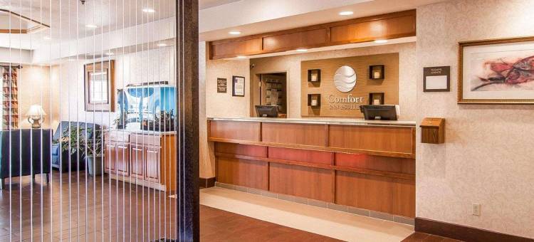 舒适套房酒店(Comfort Inn & Suites)图片