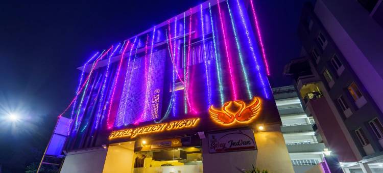 Treebo 金天鹅坦巴拉姆(Treebo Golden Swan Tambaram)图片