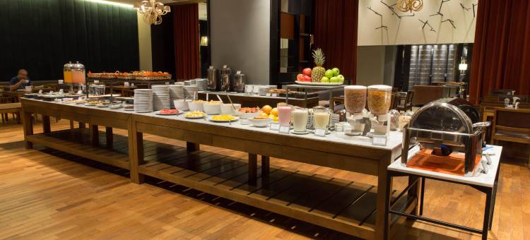 Esplendor by Wyndham Mendoza图片