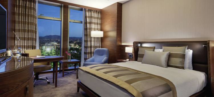 马拉蒂亚瑞享酒店(Movenpick Malatya Hotel)图片