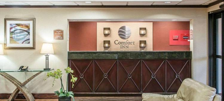 绿色田野村落舒适酒店(Comfort Inn Near Greenfield Village)图片