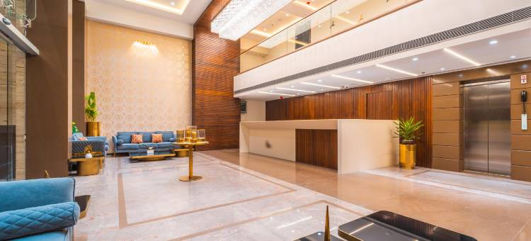 赛雅吉•波泰尔豪华酒店(Effotel by Sayaji Bhopal)图片