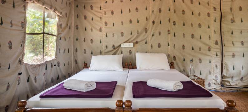 Amritara河边豪华帐篷(Amritara Riverside Camp)图片