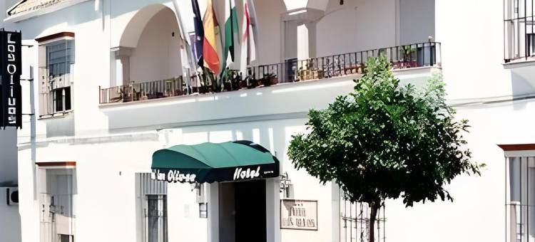 洛斯奥利弗斯酒店(Hotel Los Olivos)图片
