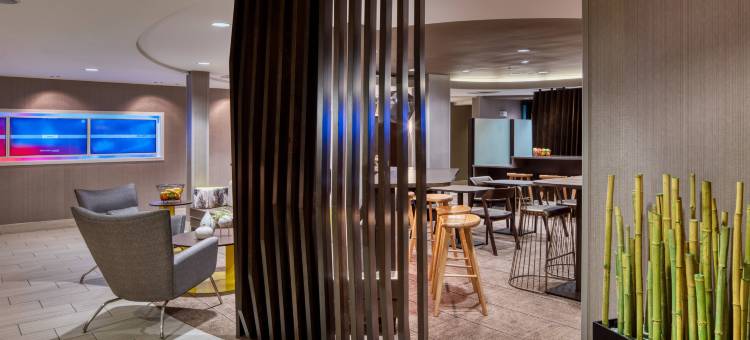 盐湖城市中心万豪SpringHill Suites 酒店(SpringHill Suites Salt Lake City Downtown)图片