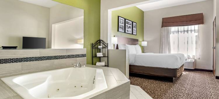 蒙哥马利东I-85东舒眠套房酒店(Sleep Inn & Suites Montgomery East I-85)图片