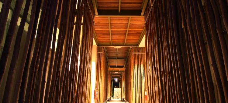 贝鲁姆雨林度假村(Belum Rainforest Resort)图片