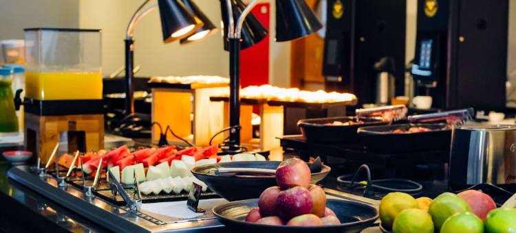 宜必思尚品戈亚尼亚购物中心酒店(Ibis Styles Goiânia Shopping Estação)图片