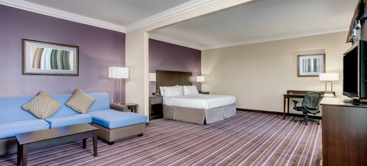 Holiday Inn Express & Suites RACELAND - 公路90 by IHG(Holiday Inn Express & Suites Raceland - Highway 90)图片