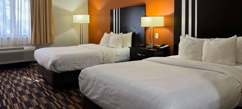 莫米 - 佩里斯堡区舒适酒店(Comfort Inn Maumee - Perrysburg Area)图片