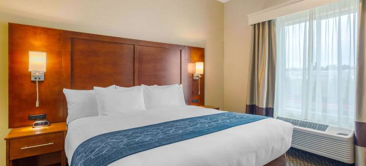 伯灵顿I-5附近舒适套房酒店(Comfort Suites Burlington Near I-5)图片
