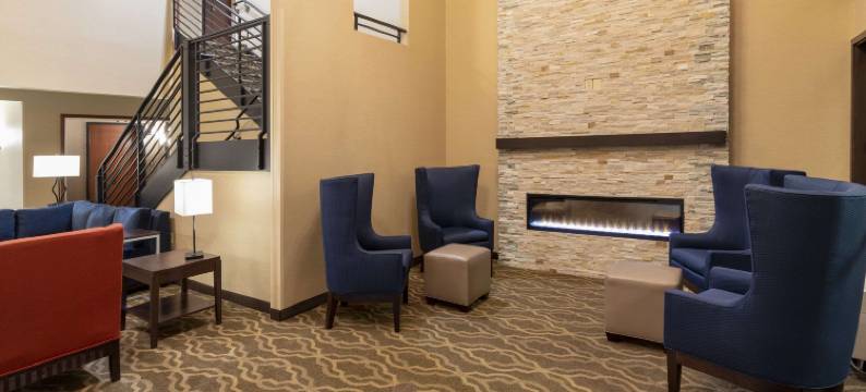 舒适套房酒店(Comfort Suites)图片