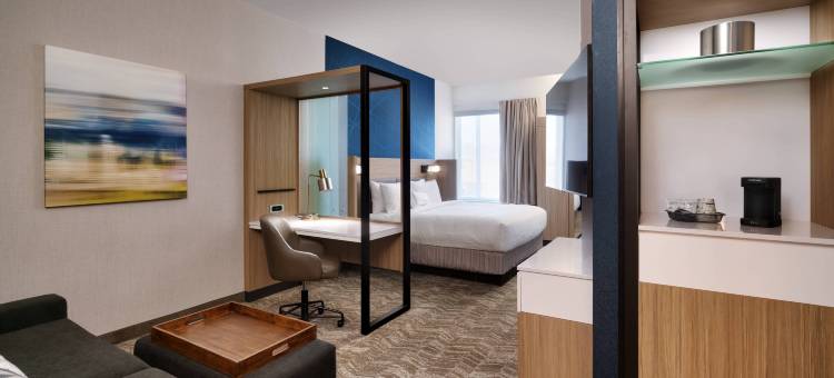 盐湖城西谷万豪SpringHill Suites酒店(SpringHill Suites Salt Lake City West Valley)图片