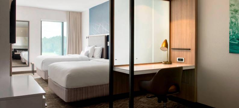 坦帕阳光海岸帕克威万豪SpringHill Suites酒店(SpringHill Suites Tampa Suncoast Parkway)图片