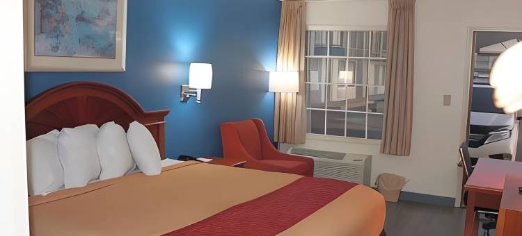 塔斯卡卢萨美洲最佳价值酒店(Americas Best Value Inn Tuscaloosa)图片