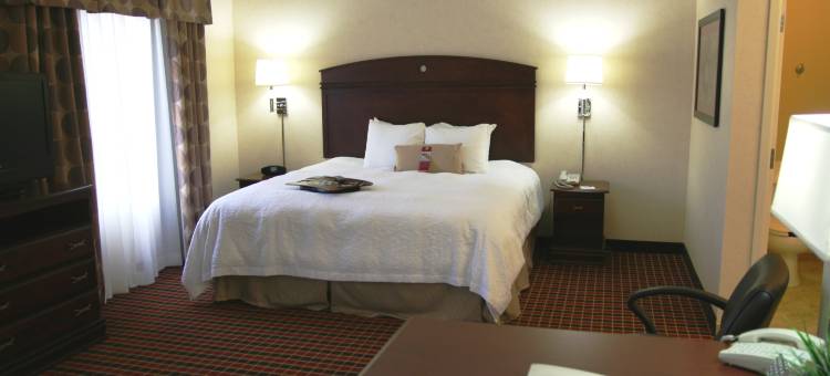 代顿机场欢朋套房酒店(Hampton Inn & Suites Dayton-Airport)图片
