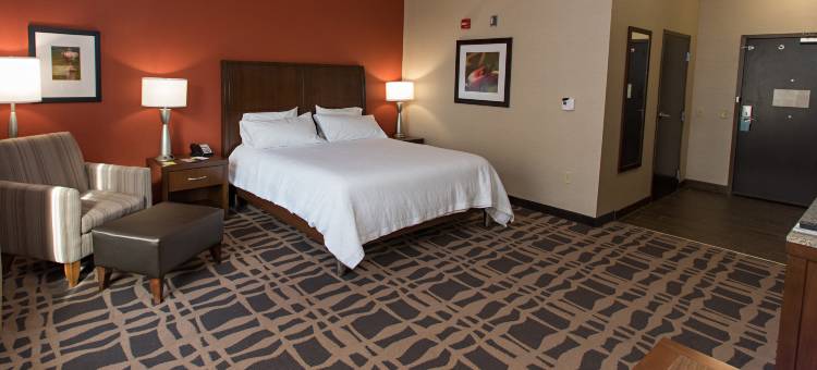 代顿南甸希尔顿花园酒店(Hilton Garden Inn Dayton South / Austin Landing)图片