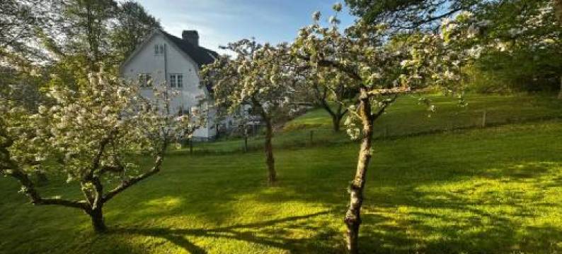 Luxurious 2-Room Apartment in Central Borås图片