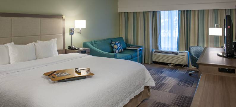 希尔顿欢朋套房酒店-新奥尔良爱姆伍德(Hampton Inn & Suites New Orleans-Elmwood/Clearview Parkway Area)图片