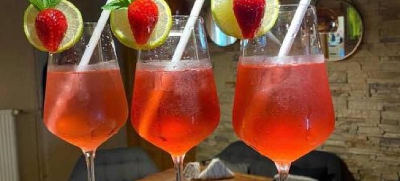 特鲁斯酒店(Hotel Taurus)图片