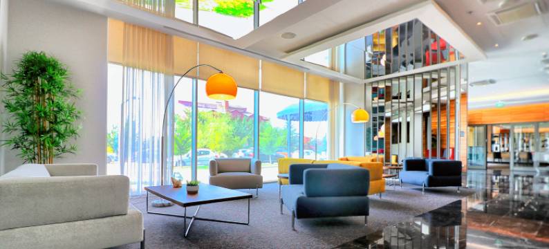 安卡拉因瑟克希尔顿逸林酒店(DoubleTree by Hilton Ankara Incek)图片