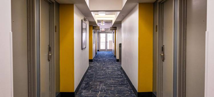 好莱坞伯班克近环球舒适套房酒店(Comfort Inn & Suites Near Universal - N Hollywood - Burbank)图片