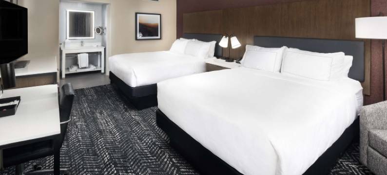 曼哈顿希尔顿逸林酒店(DoubleTree by Hilton Manhattan)图片