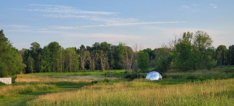 Backwoods Dome图片