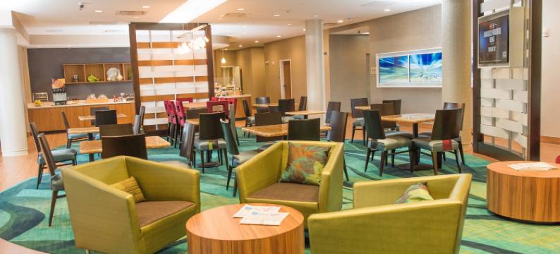 布法罗机场SpringHill Suites酒店(SpringHill Suites Buffalo Airport)图片