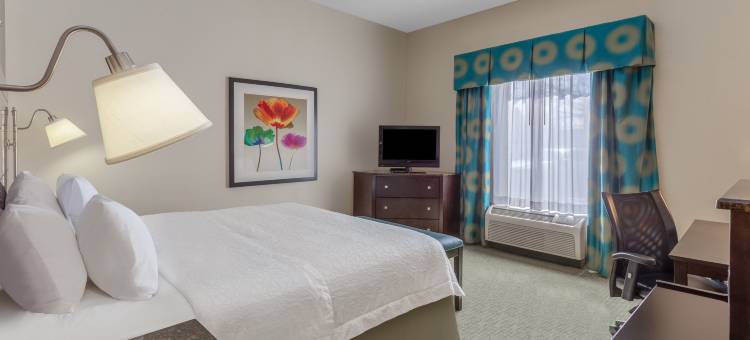 南里士满欢朋酒店(Hampton Inn Richmond-South)图片