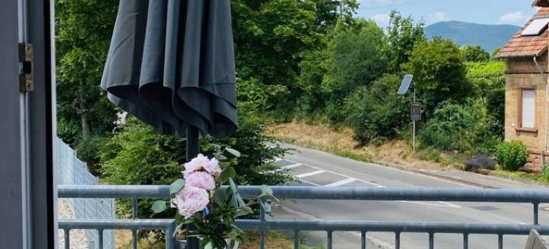 安兰豪斯 - 客房(Am Landhaus - Gästezimmer)图片