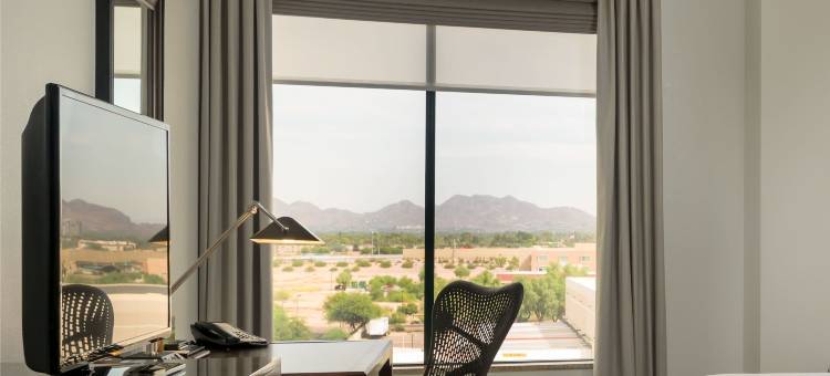 凤凰城机场北希尔顿花园旅馆(Hilton Garden Inn Phoenix Airport North)图片