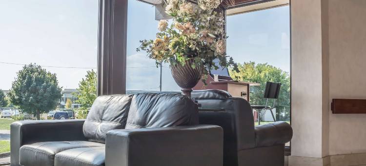 维法斯维罗德威酒店(Rodeway Inn Fallsview)图片